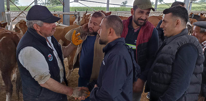 Havza'da Kurban Telaşı Başladı