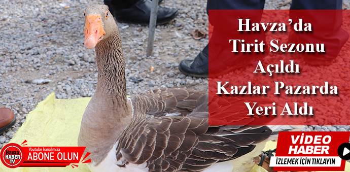 Havza'da Tirit Sezonu Açıldı Kazlar Pazarda Yeri Aldı