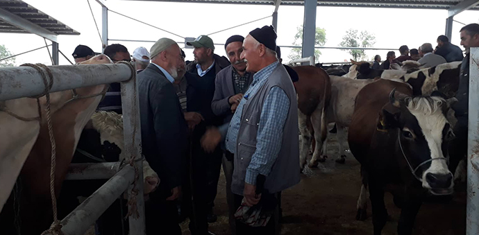 Kurban Pazarı Kuruldu, Bakan Çok Alan Yok