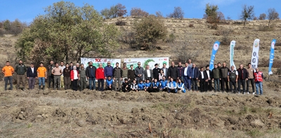 Havza'da Milli Ağaçlandırma Günü Dolayısıyla Fidan Dikimi Yapıldı