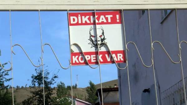 Samsun Da Da Subesi Bulunan Tugba Kuruyemis E Kayyum Atandi
