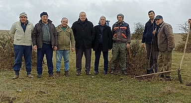 Kocaoğlu Mahallesinde Çınar ve Çam Fıstığı Dikimi Yapıldı