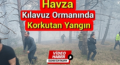 Havza Kılavuz Ormanında Korkutan Yangın