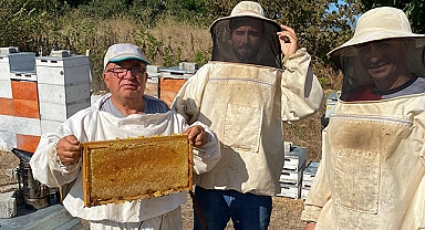 Sezonun İlk Balları Alınmaya Başladı