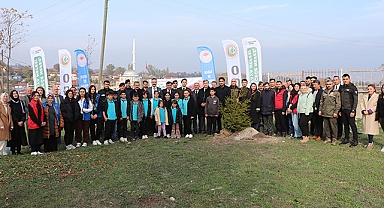 Havza’da Fidan Dağıtımı Gerçekleştirildi
