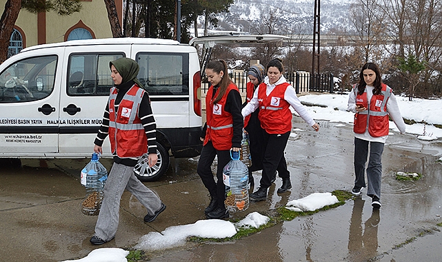 Havza’da Kızılay Gönüllülerinde Sokak Hayvanlarına Destek