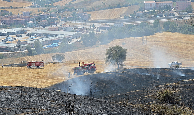 Havza'da Anız Yangınında 10 Dekar Tarım Arazisi Zarar Gördü