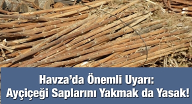Havza’da Önemli Uyarı: Ayçiçeği Saplarını Yakmak da Yasak!