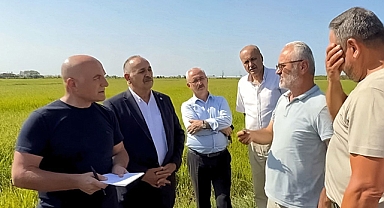 Tarımda yapısal kriz uyarısı! “Bu Şartlarda Yeni Nesil Üretim Yapmaz”