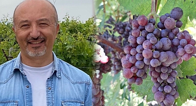OMÜ'lü Akademisyenden Proje; Merzifon Karası Üzümü Don Felaketine Karşı Korunacak