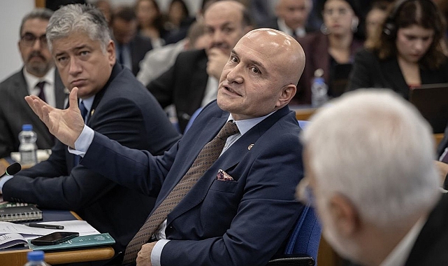TBMM'de Bütçe Görüşmeleri, İYİ Partili Usta'dan