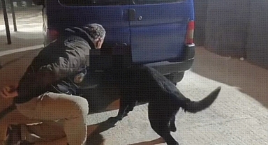 Havza'da Narkotik Operasyon, 3 Kişi Gözaltında