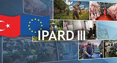 Samsun ve Sinop’a Dev Piyango: Kırsala 150 Milyon TL Akacak!