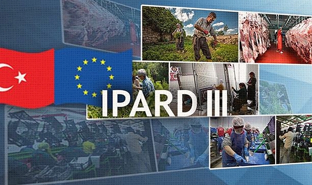 Samsun ve Sinop’a Dev Piyango: Kırsala 150 Milyon TL Akacak!