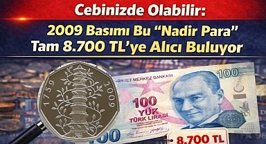 Cebinizde Olabilir: 2009 Basımı Bu 