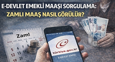 E-Devlet Emekli Maaşı Sorgulama: Zamlı Maaş Nasıl Görülür?
