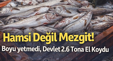 Hamsi Değil Mezgit! Boyu yetmedi, Devlet 2.6 Tona El Koydu