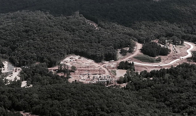 Orman Arazisi Kiralamada Yeni Dönem: İlk Başvuran Kazanır!