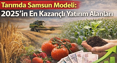 Samsun'da 2025’in En Kazançlı Yatırım Alanları Belli Oldu