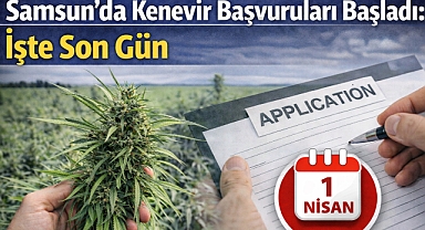 Samsun'da Kenevir Başvuruları Başladı: İşte Son Gün