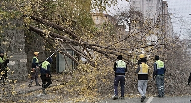 Samsun'da Korkutan Anlar: Ağaç Devrildi, Yol Trafiğe Kapandı