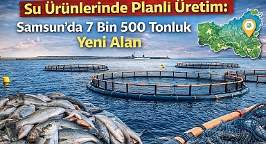Samsun Mavi Ekonomide; Sözleşmeli Avcılık Dönemi Başladı