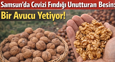 Samsun'da Cevizi Fındığı Unutturan Besin: Bir Avucu Yetiyor!