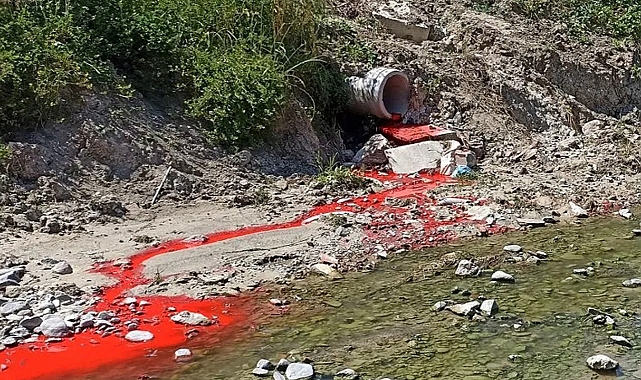 Havza'da Dereyi Kirleten İşletmeye Suç Duyurusu