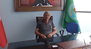 Havza'da Hasat Başladı: 107 Bin Ton Rekolte Bekleniyor