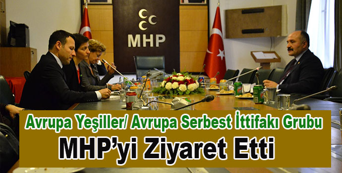 Avrupalı Yeşiller, MHP Gurup Başkan Vekili Usta'dan Bilgiler Aldılar
