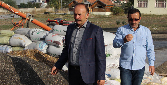 Ayçiçeği Alım Kampanyası Devam Ediyor