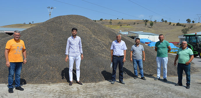 Ayçiçeği Fiyatları 3.60 Liradan İşlem Görüyor