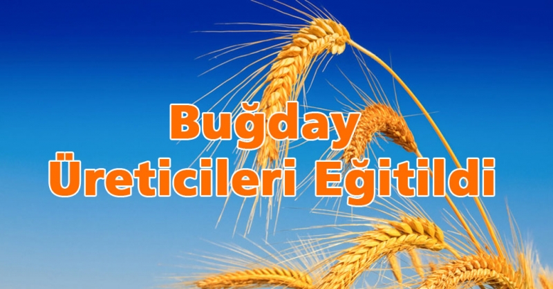 Buğday Üreticileri Eğitildi
