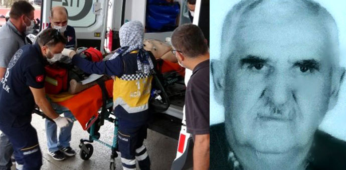 Ceviz Ağacından Düşen Yaşlı Adam Adam Hayatını Kaybetti