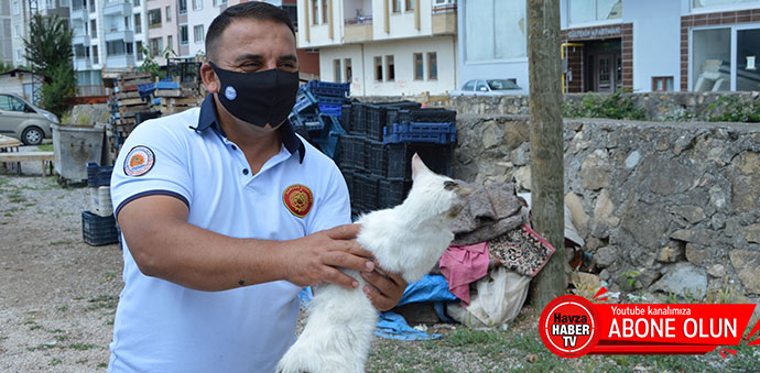 Dere Yatağına Düşen Kediyi İtfaiye Kurtardı- Video Haber