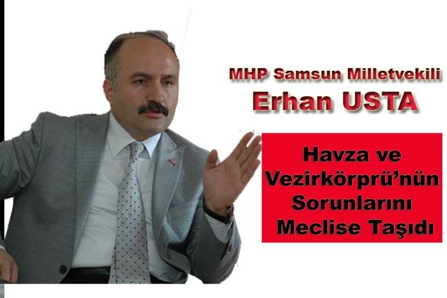 Erhan Usta Havza ve Vezirköprü\'nün Sorunlarını Meclise Taşıdı