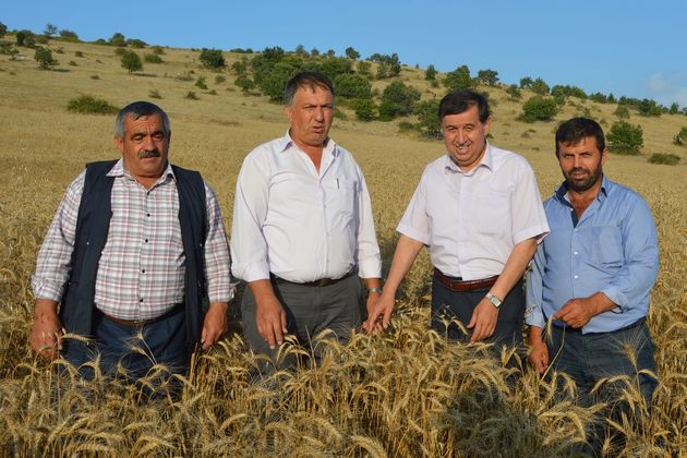 Havza Belediye Başkanı Murat İkiz Mahalle Ziyareti