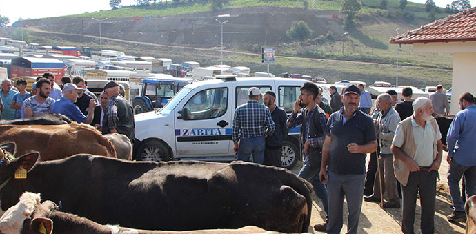 Havza Belediyesi Kurban Tedbirleri