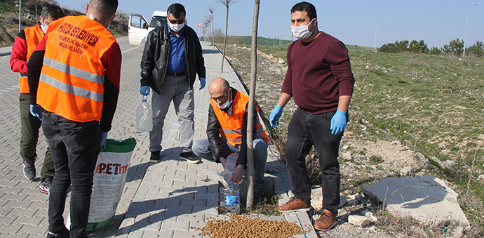 Havza Belediyesi Sokağa Çıkma Yasağında Görev Başında