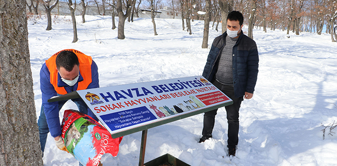 Havza Belediyesinden Sokak Hayvanlara Mama Desteği