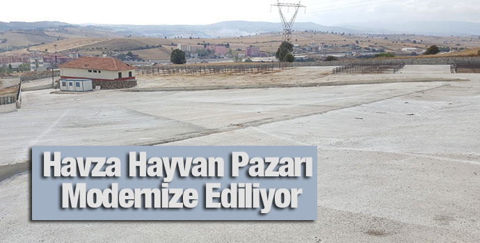Havza Hayvan Pazarı Modernize Ediliyor