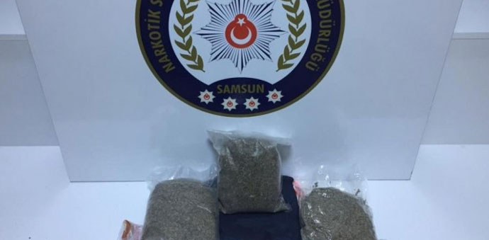 Havza’da 1,5 Kilo Bonzai Yakalandı