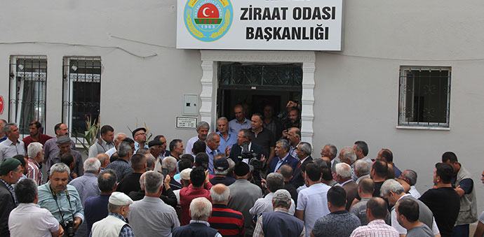 Havza’da Ayçiçeği Fiyatlarına Tepki