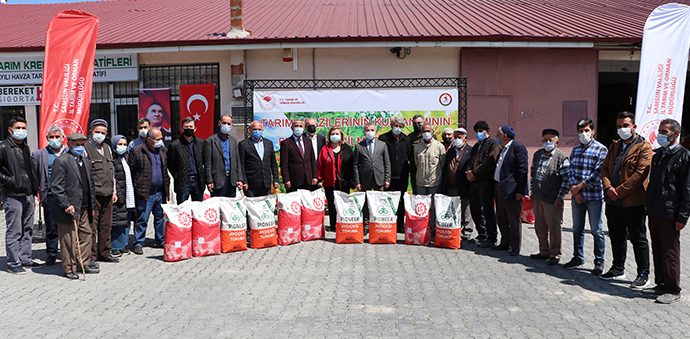 Havza'da Çiftçilere Yağlık Ayçiçeği Tohumu Dağıtıldı