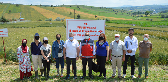 Havza’da Deneme Tarlaları İncelendi
