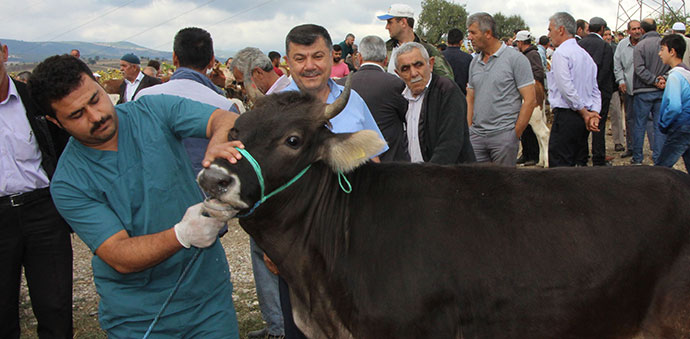 Havza’da Kurban Bayramı Tedbirleri Alındı