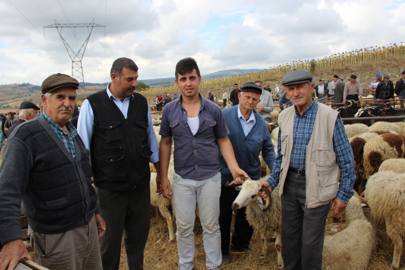 Havza’da Kurban Fiyatları