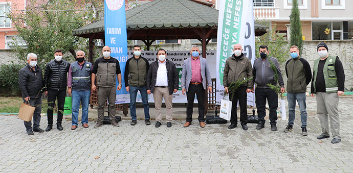 Havza’da Ücretsiz Fidan Dağıtımı
