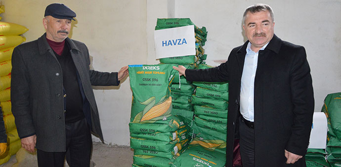 Havza'da Üreticilere Silajlık Mısır Tohumu Dağıtıldı
