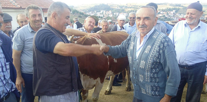Hayvan Pazarında Kurban Bereketi